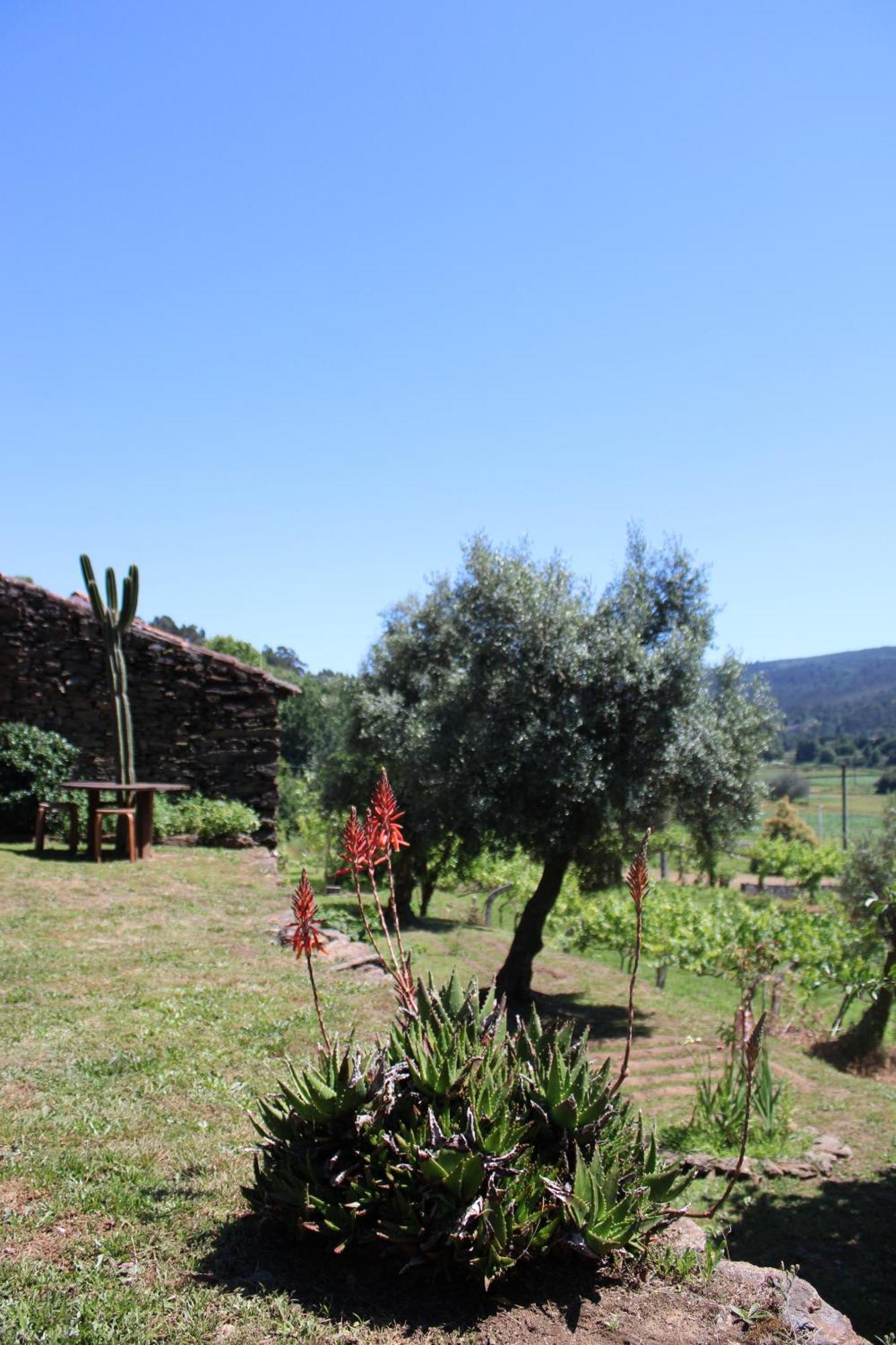 Villa Lugar da Lourida à Caminha Extérieur photo